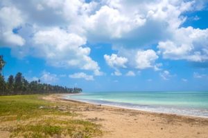 Tudo sobre Maceió e o litoral de Alagoas