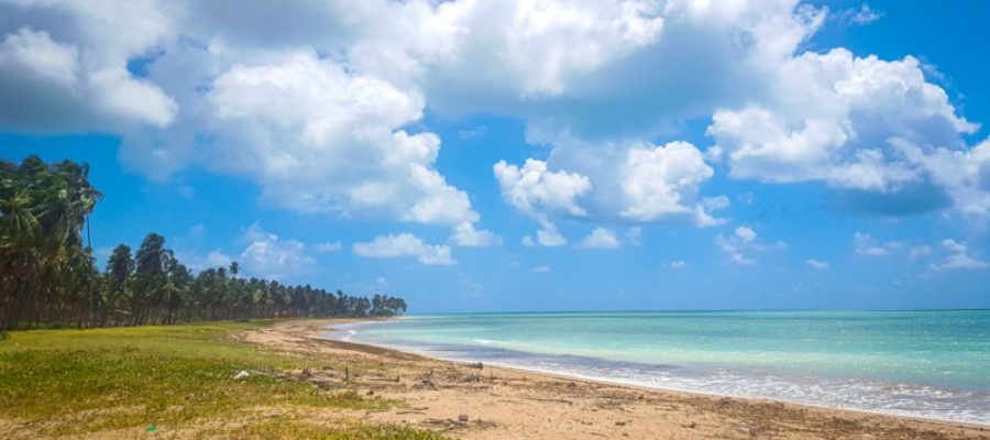 Tudo sobre Maceió e o litoral de Alagoas