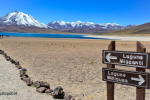 Piedras Rojas e Lagunas Altiplanicas - Deserto do Atacama