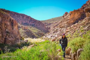 Trekking de Guatin e Termas de Puritama, Atacama, Chile