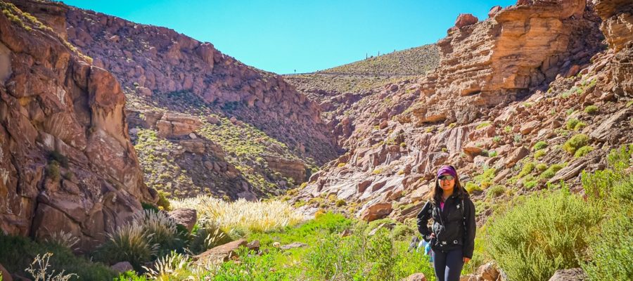 Trekking de Guatin e Termas de Puritama, Atacama, Chile