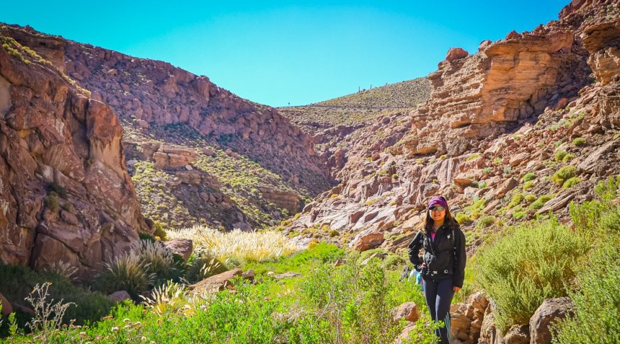 Trekking de Guatin e Termas de Puritama, Atacama, Chile