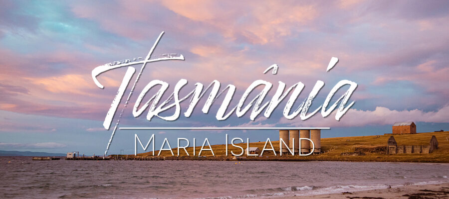 Maria Island Tasmânia, o que fazer