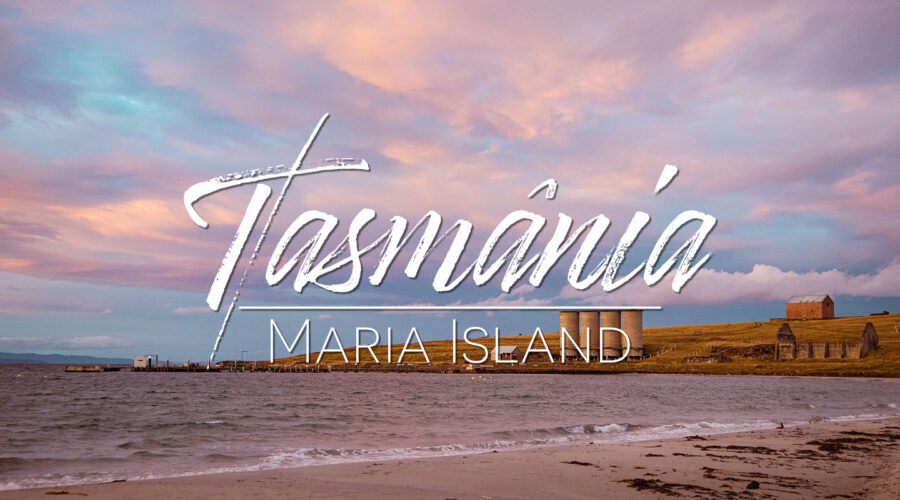 Maria Island Tasmânia, o que fazer